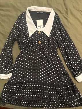 Zara Black and White Polka Dot Dress with Contrast Collar